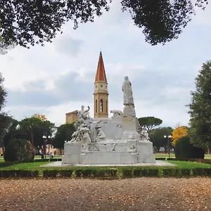 Gatto Storpio , Arezzo Italia